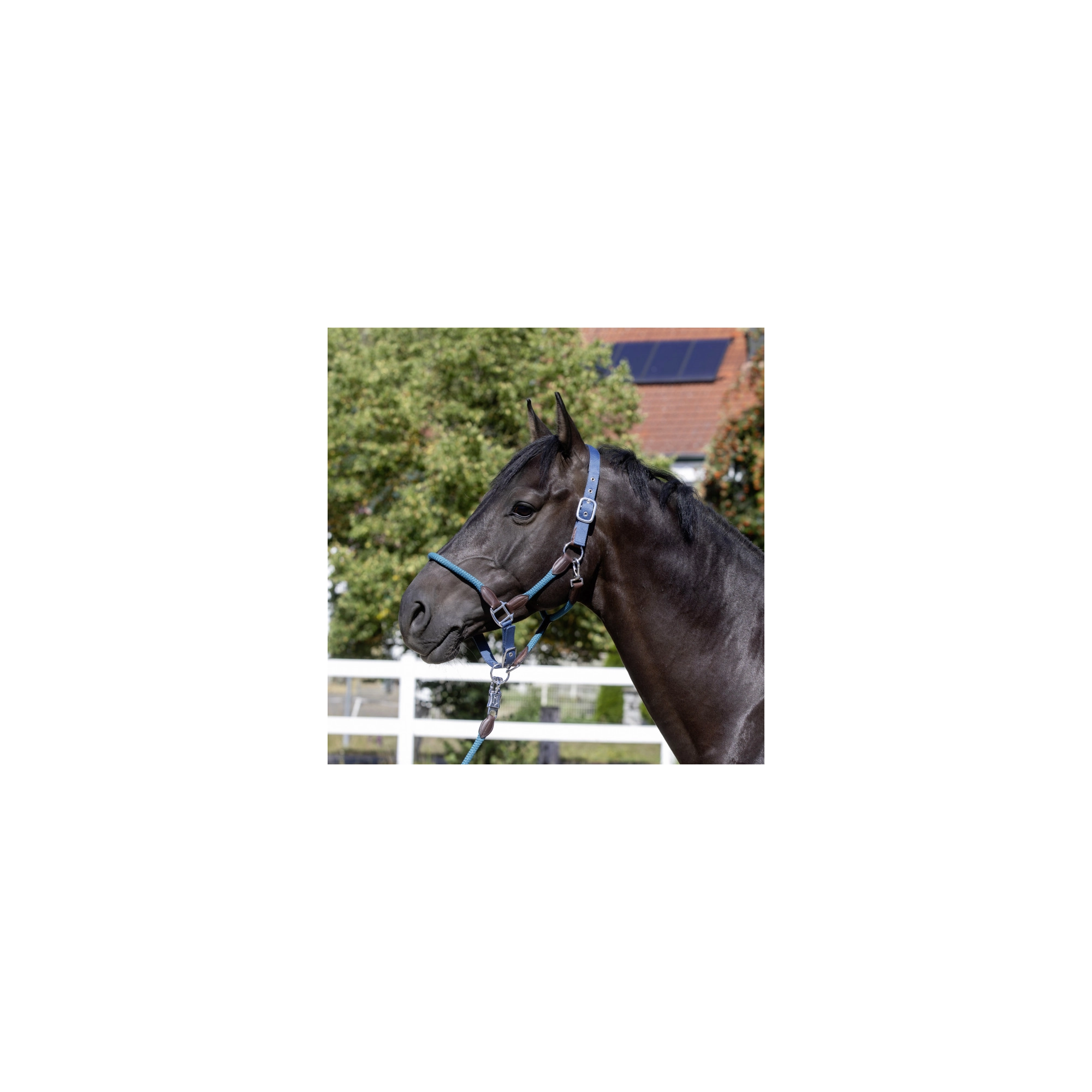 USG Dubin kötőfék, petrol/barna, póni