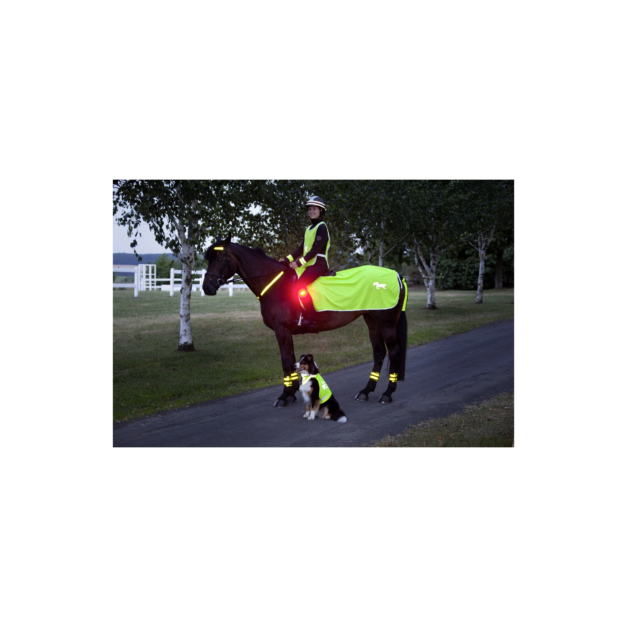 USG Fényvisszaverős takaró, lovas mintával