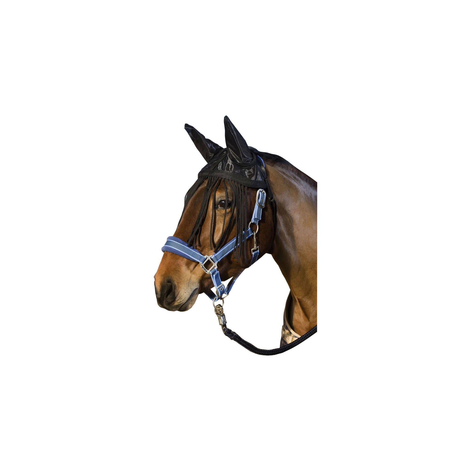 USG Légysallangos fülvédő, póni