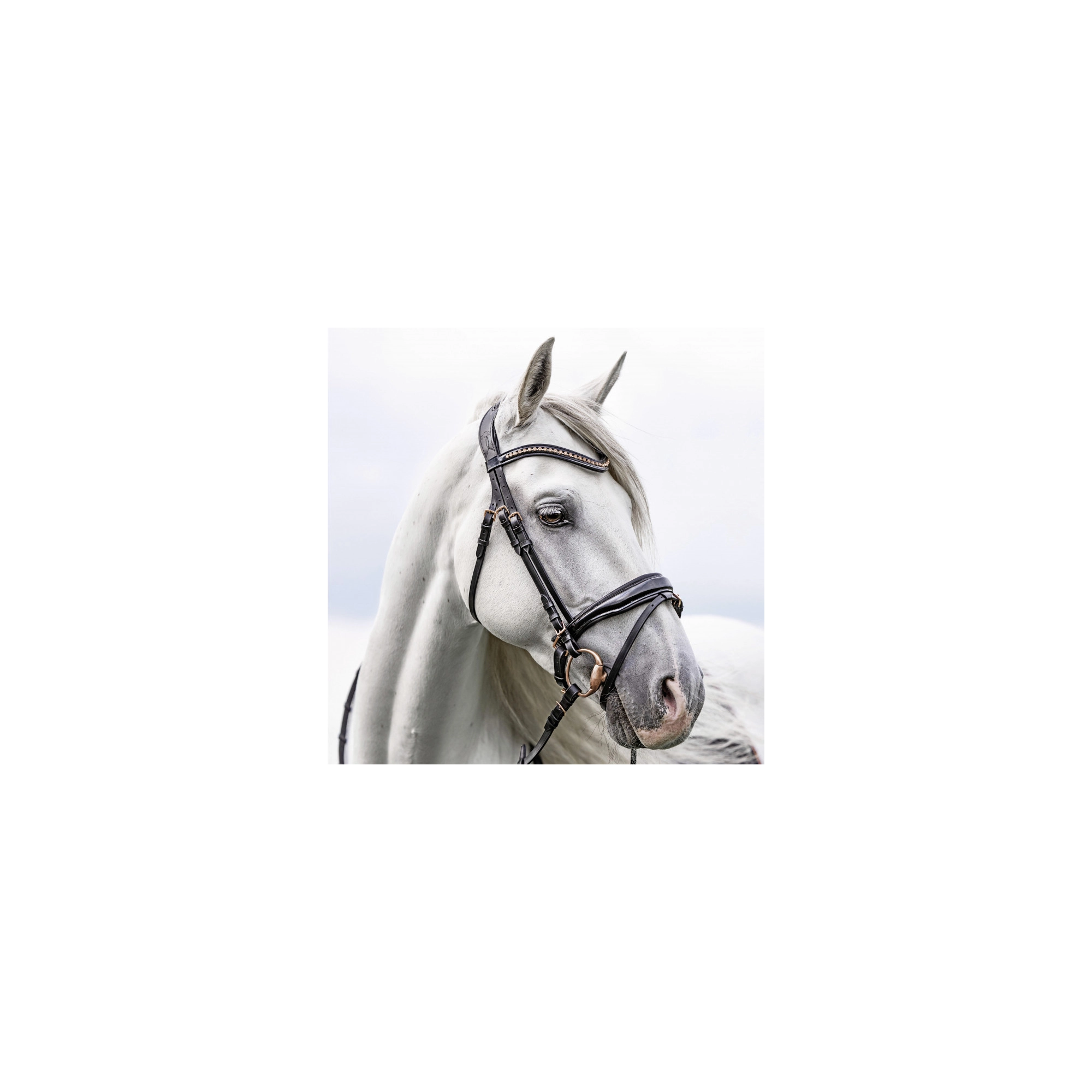 USG Lovely Rose kantár, póni