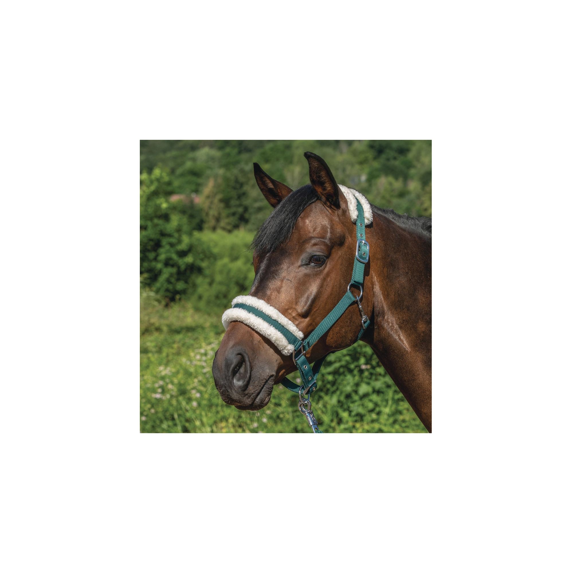 USG Műszőrmés kötőfék, zöld, cob