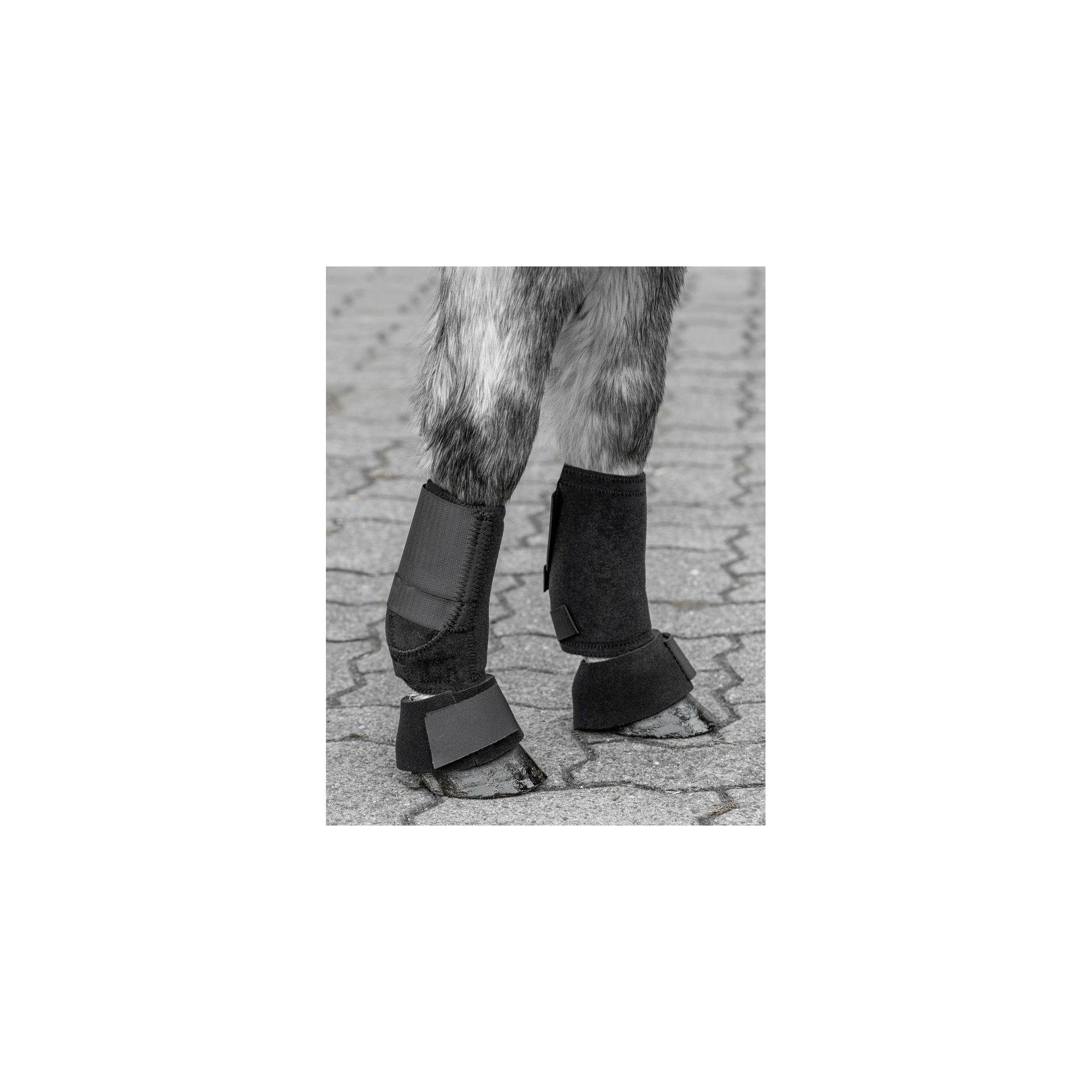 USG Shetty pataharang, fekete