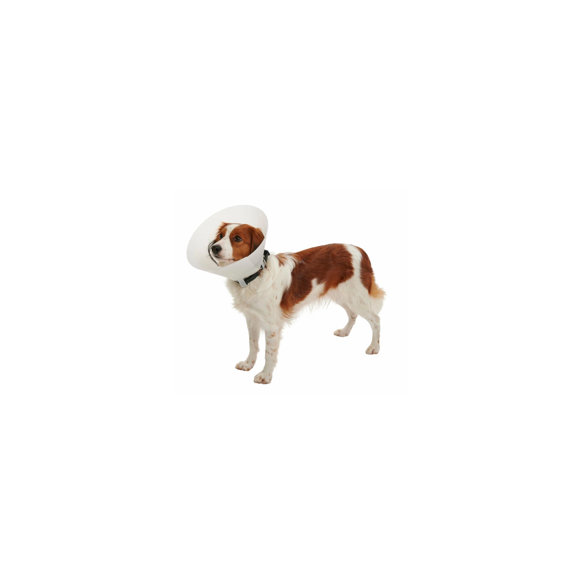 Védőgallér Eh.35cm Buster