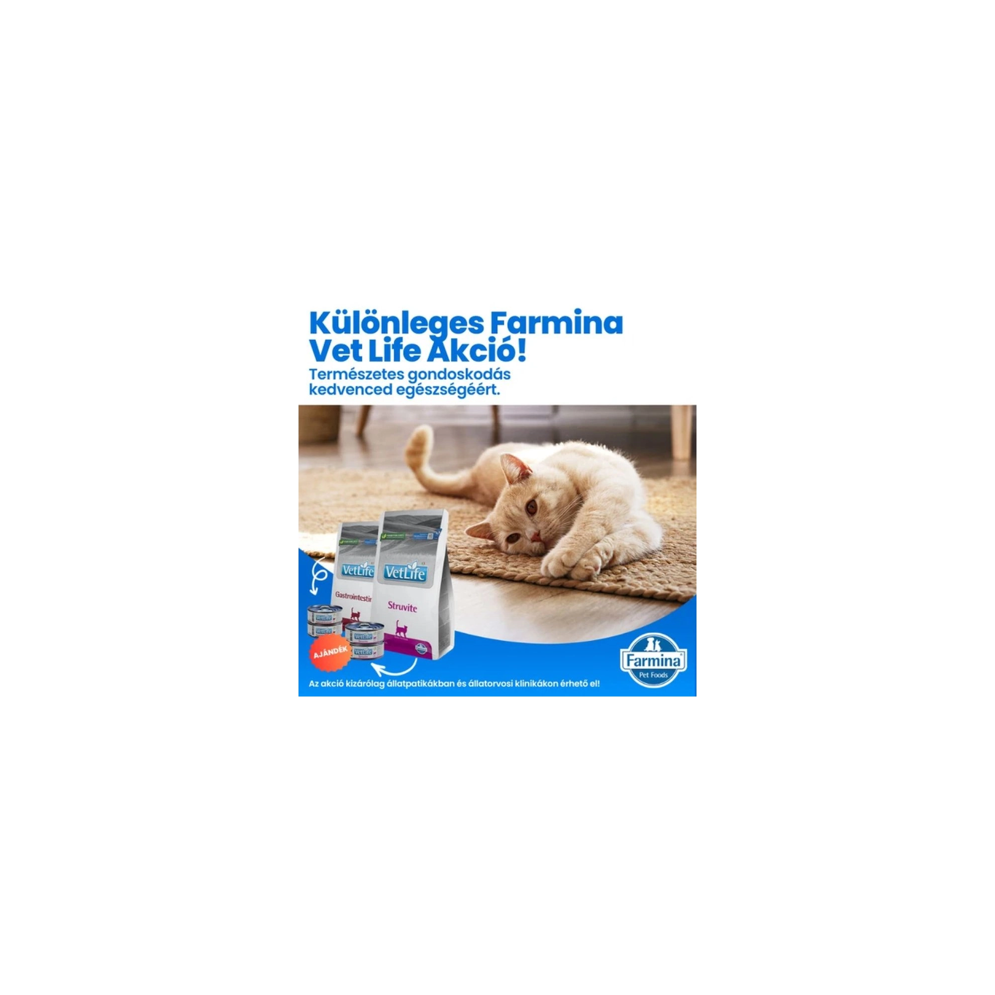 Vet Life Natural Diet Cat Struvite 2kg+2*85g konzerv csomag