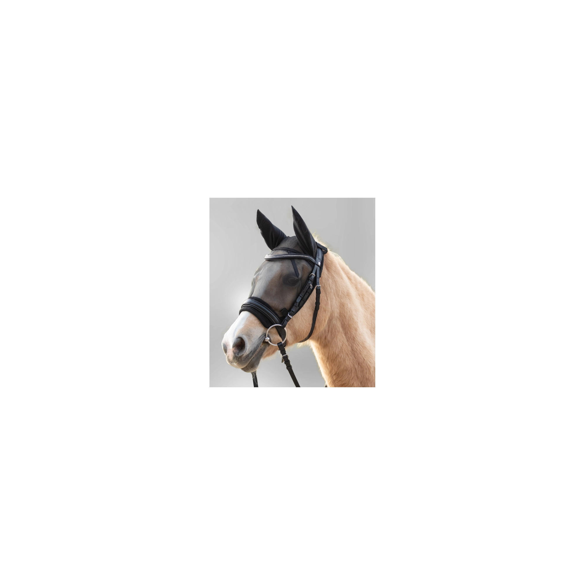 Waldhausen Légymaszk lovagláshoz, full