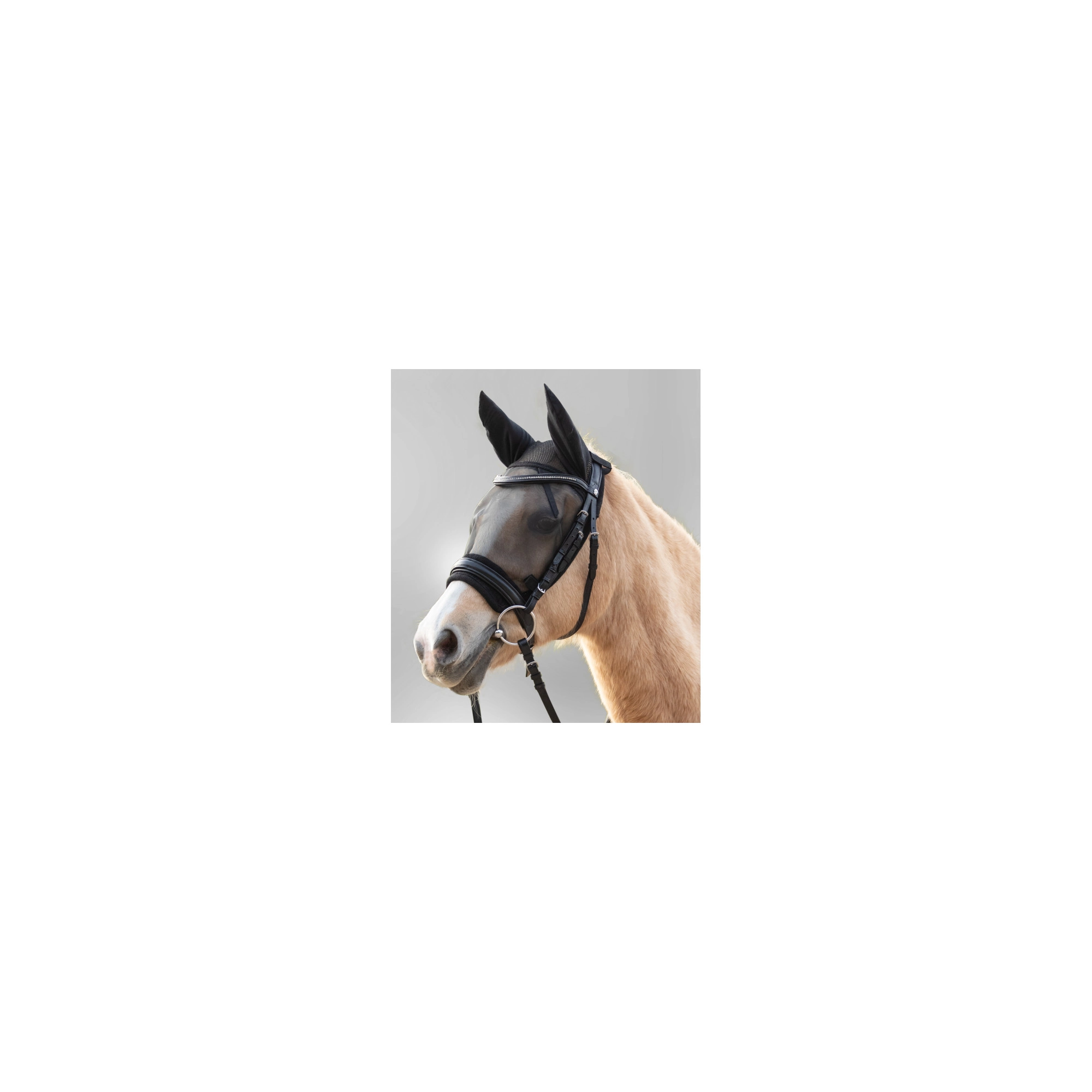 Waldhausen Légymaszk lovagláshoz, póni