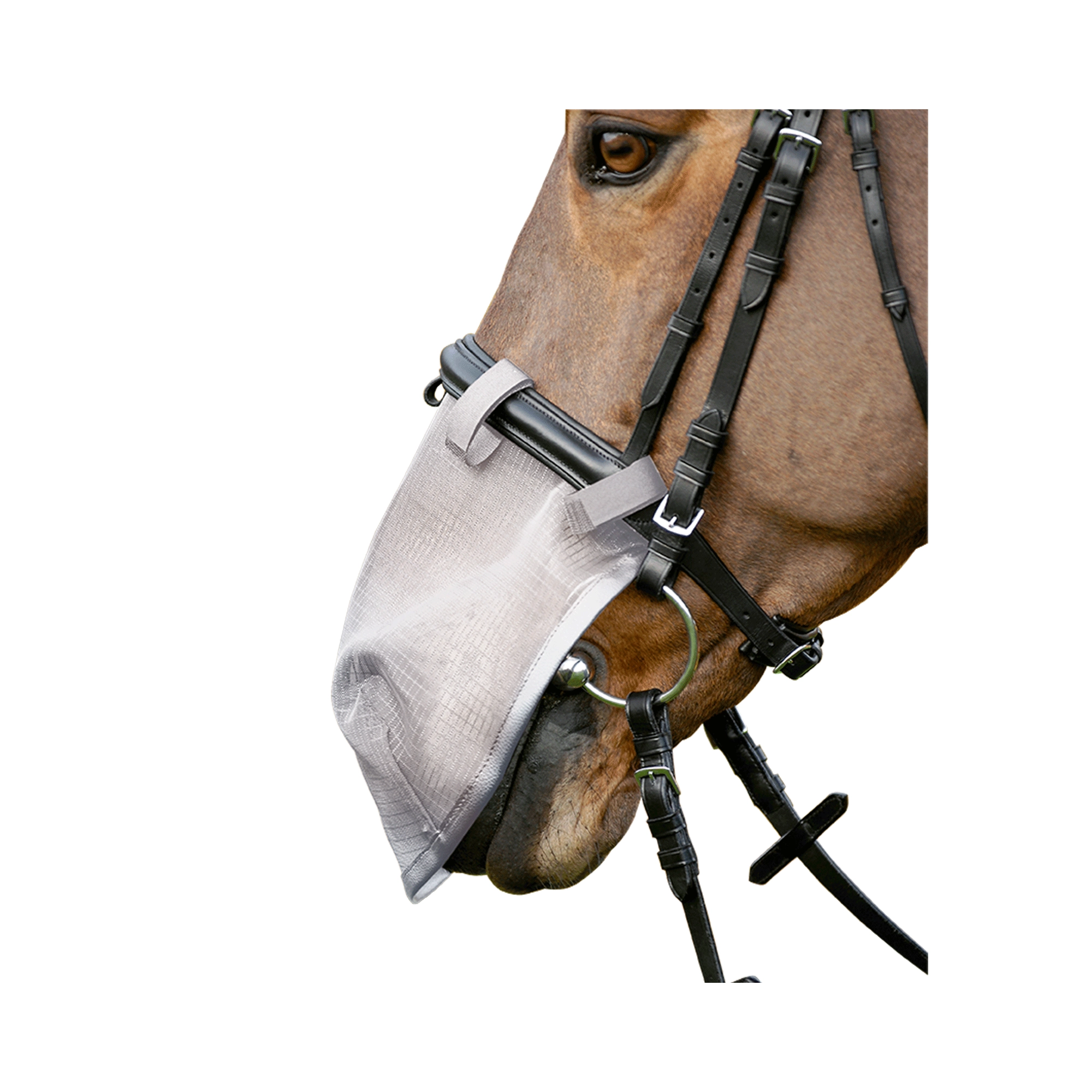 Waldhausen Orrháló UV-védelemmel, szürke, cob