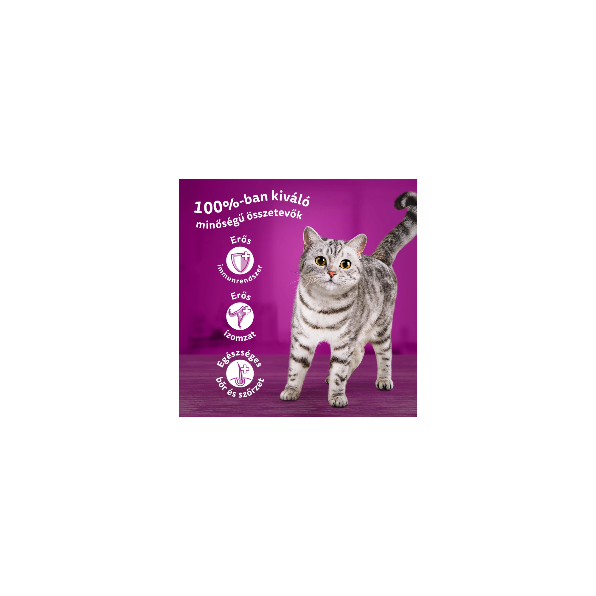 WHISKAS Alutasak 12-pack halas-húsos mix válogatás 12*85g Multipack