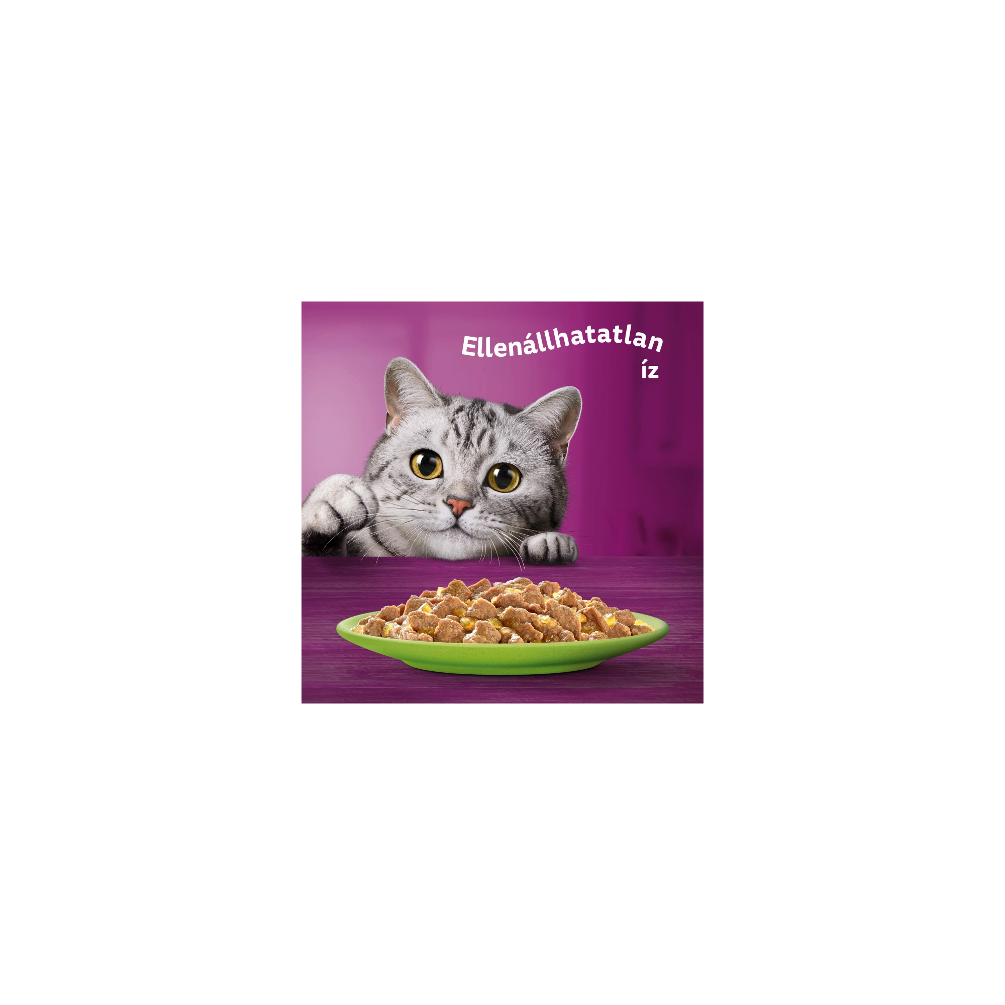 WHISKAS Alutasak 12-pack halas-húsos mix válogatás 12*85g Multipack