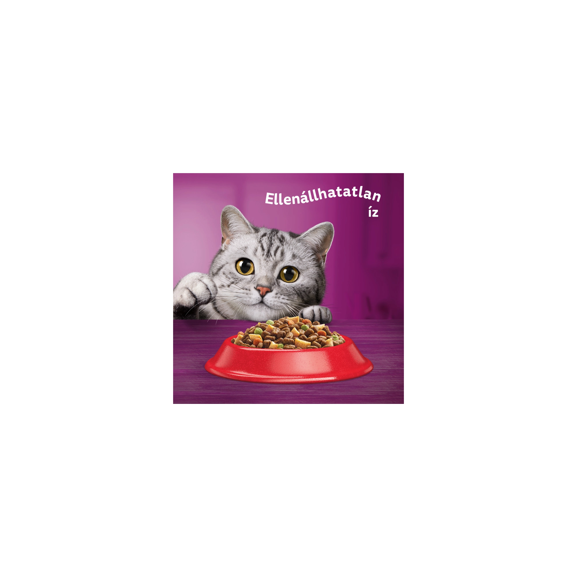 Whiskas Száraz Marha -Májas Falat 300g
