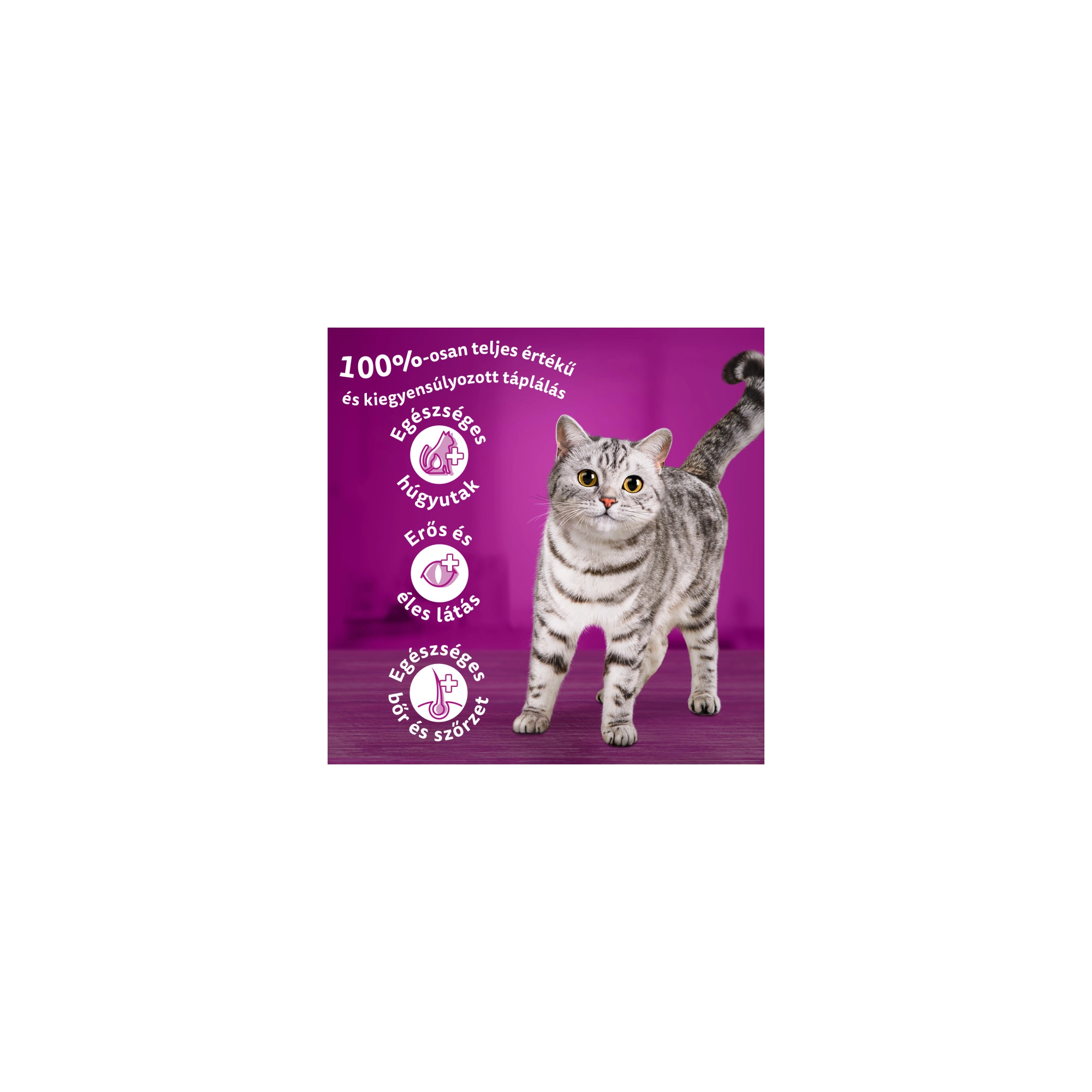 Whiskas Száraz Marha -Májas Falat 300g