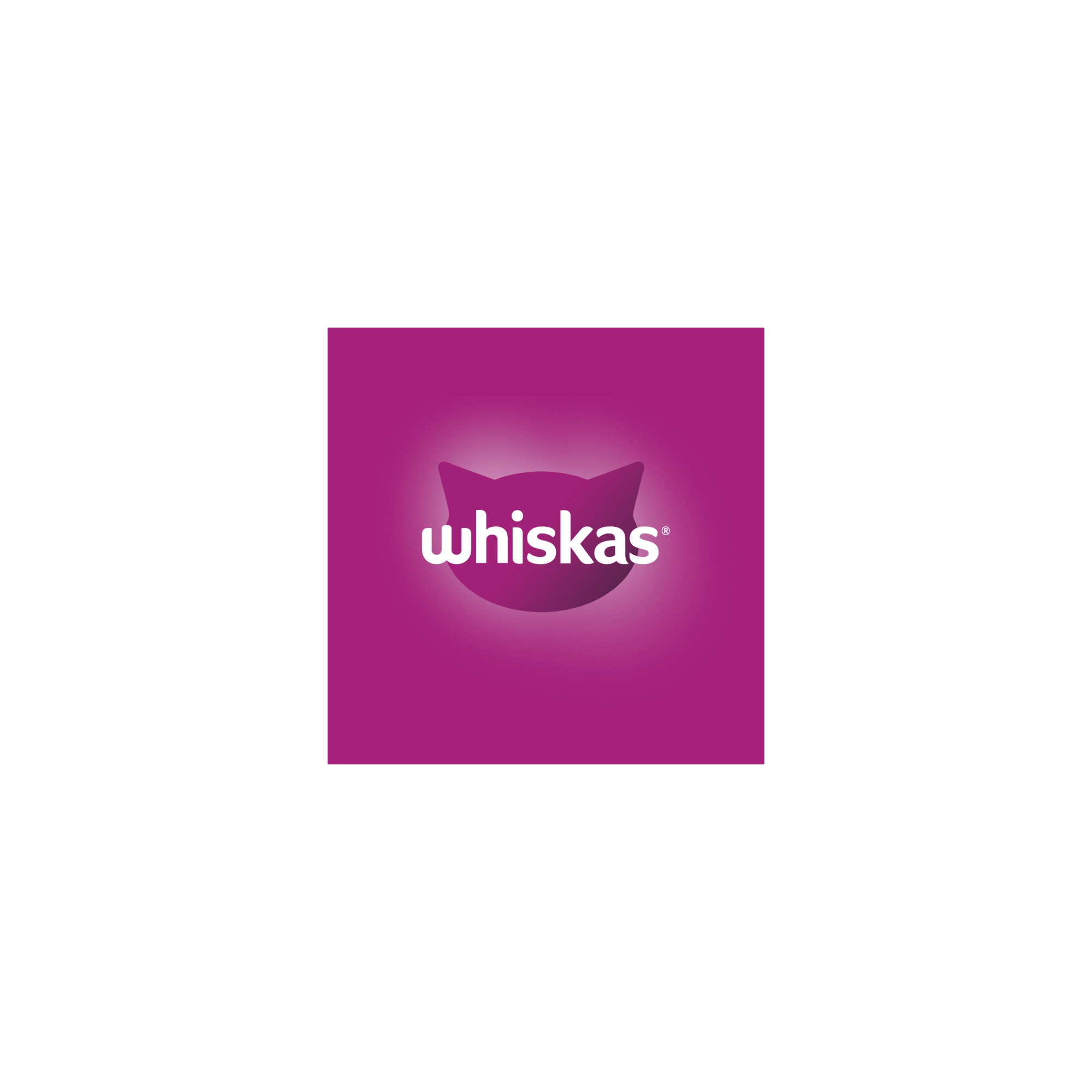 Whiskas Száraz Marha -Májas Falat 300g