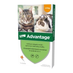 Advantage rácsepegteto oldat kistestu macskáknak és nyulaknak AUV 1 x 0,4 ml