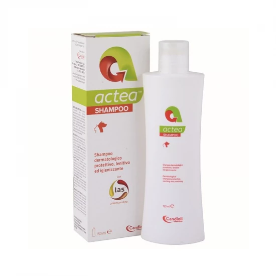Actea sampon 150 ml