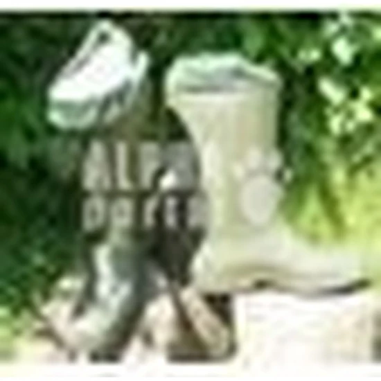 Bélelt gumicsizma, 43