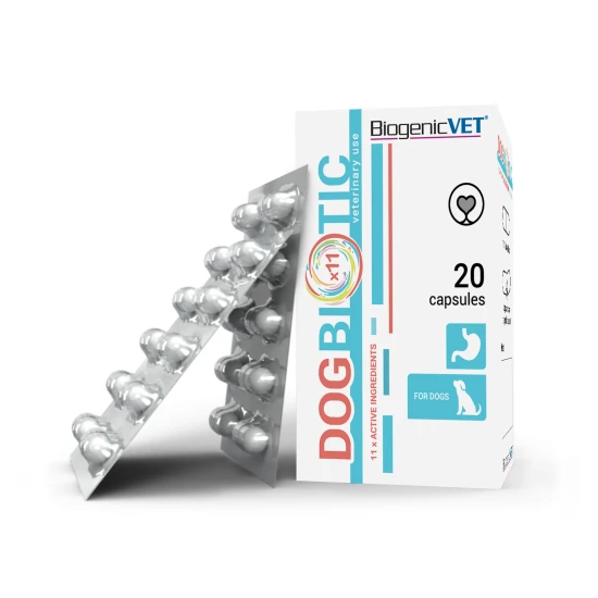 BiogenicVet Dogbiotic 20x