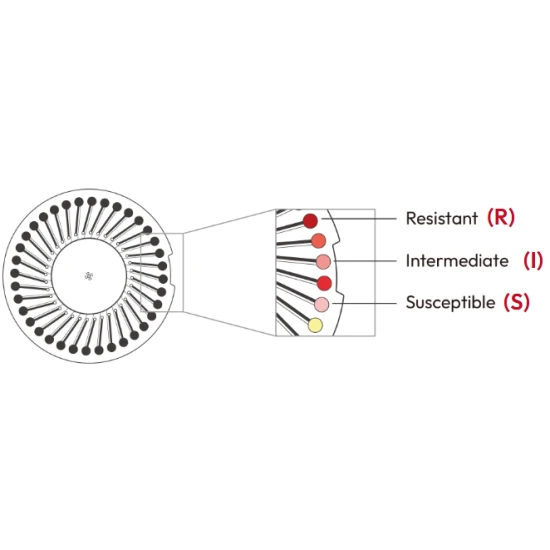 Bioguard miniAST Általános Panel 2 (5 db/boboz)