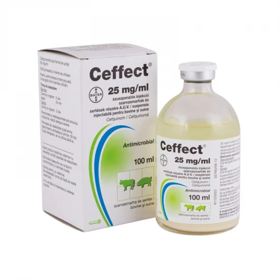 Ceffect 2,5 % injekció 100 ml