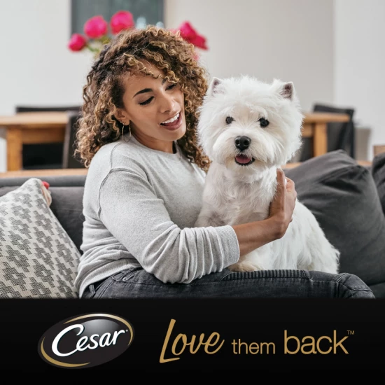 Cesar alutasak Multipack válogatás mártásban 4x100g Cesar alutasak Multipack válogatás mártásban 4x100g