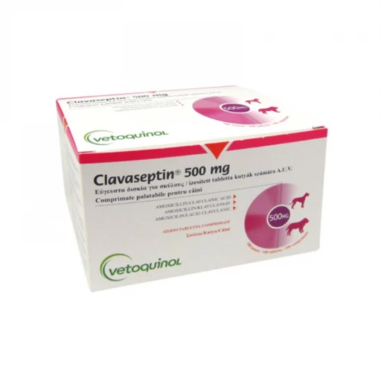 Clavaseptin 500 mg ízesített tabletta 100x