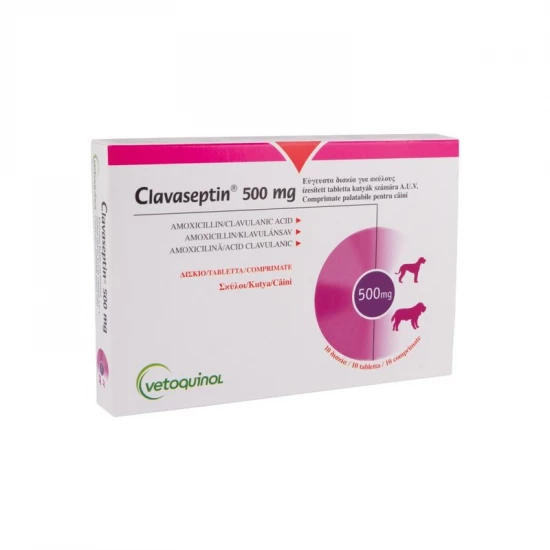 Clavaseptin 500 mg ízesített tabletta 10x