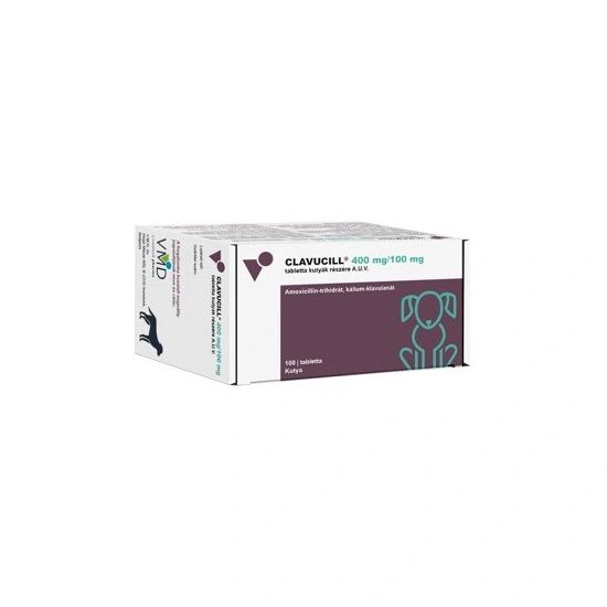 Clavucill 400/100mg tabletta kutyák részére 100x