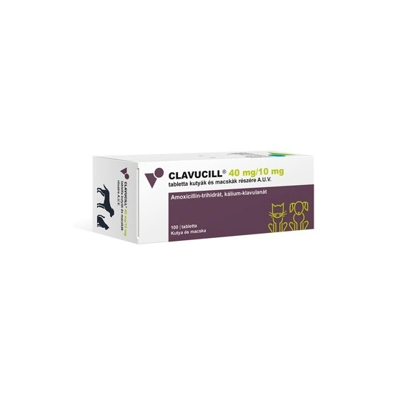 Clavucill 40/10mg tabletta kutyák és macskák részére 100x