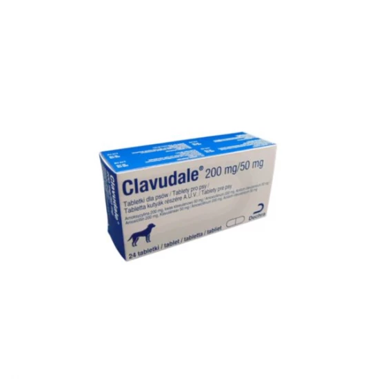 Clavudale 200mg/50mg tabletta kutyák 24X