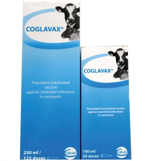 Coglavax-8 vakcina 100 ml