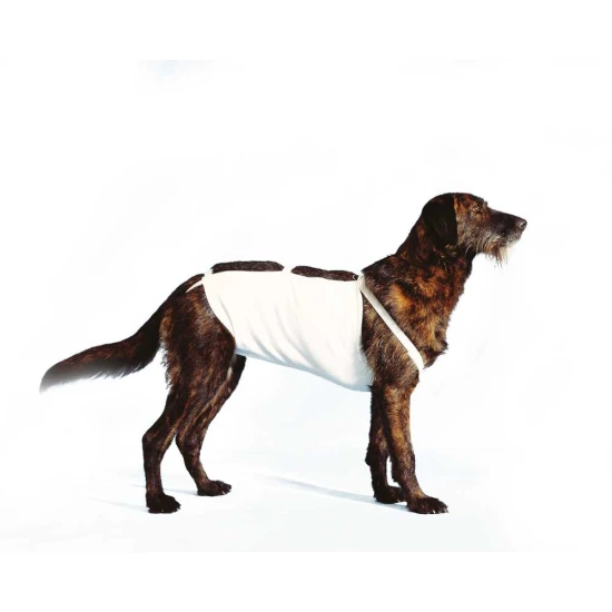 Hasi kötés tépőzárral 1-es méret, 33 cm