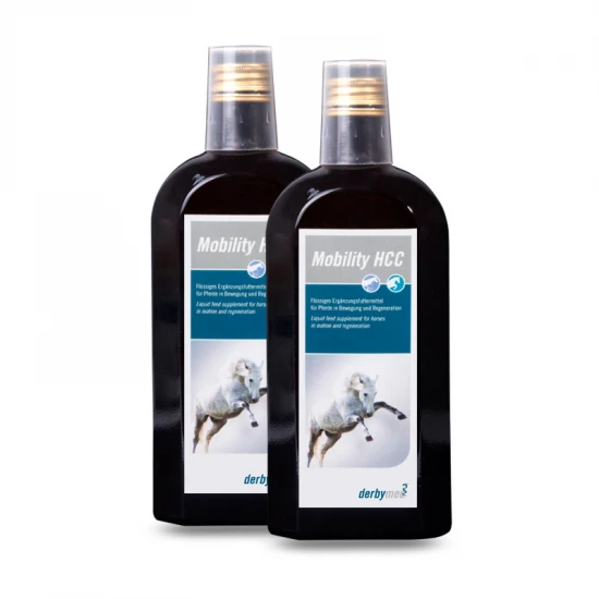 Derbymed Mobility HCC ízületerősítő szirup 2 x 500 ml