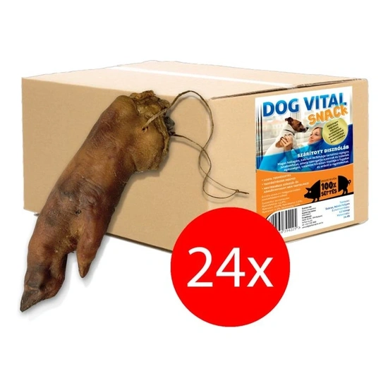 Dog Vital Disznóláb 24db/karton