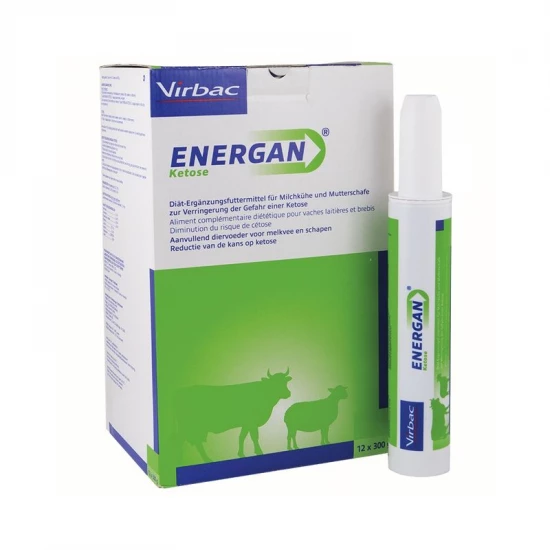 Energan Ketose paszta 12x300 g