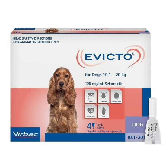 Evicto M 120 mg spot on oldat 10,1-20 kg-os kutyáknak 4x