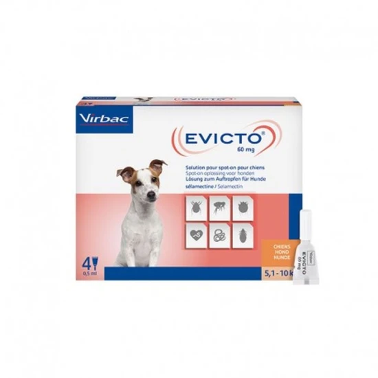 Evicto S 60 mg spot on oldat 5,1-10 kg-os kutyáknak 4x