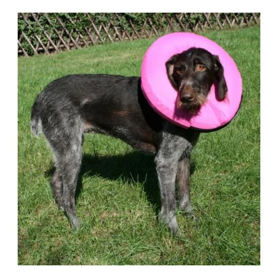 Felfújható Gallér XL