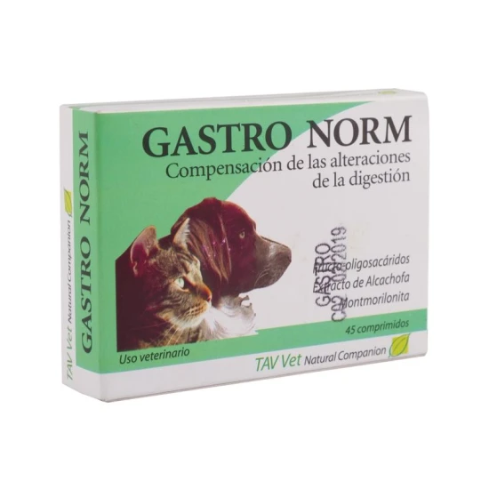Gastro Norm tabetta 45x