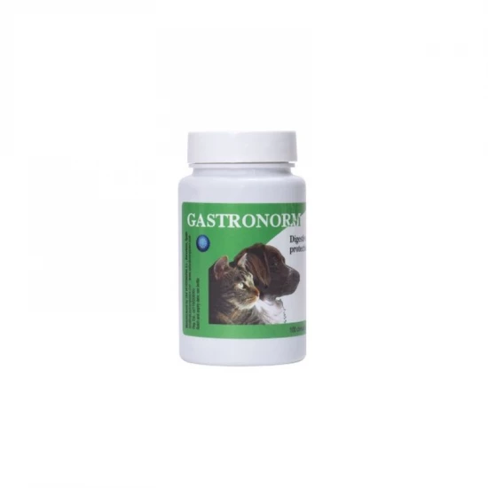 Gastro Norm tabletta 100x