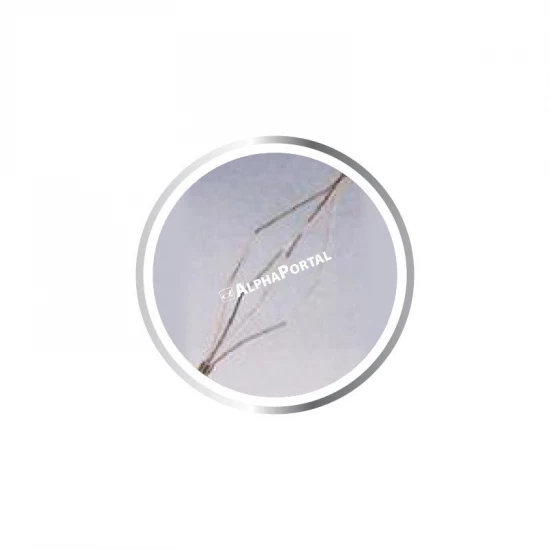 HF-1823-BT Kosár idegentest fogó 1.8mmX2300mm