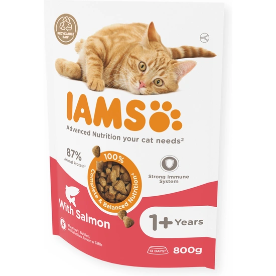 -Iams Cat Adult Salmon 800gr
