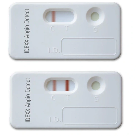 IDEXX Angio teszt 20 db