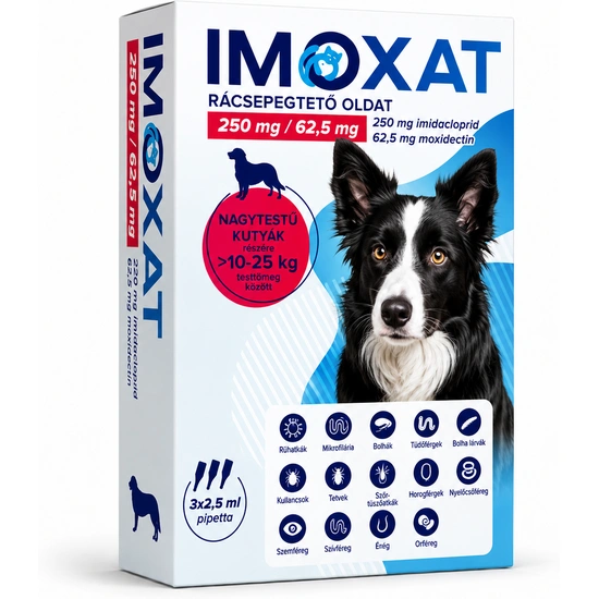 Imoxat 250 mg+62,5 mg nagytestű kutyáknak 10-25 kg 2,5 ml 3x