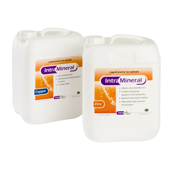 Intra Mineral Duo 10 l