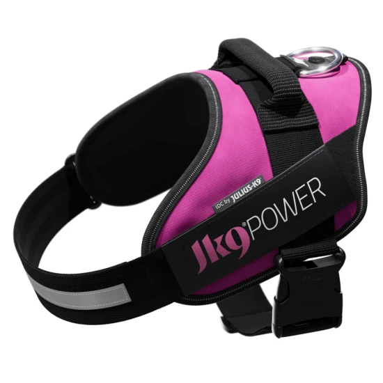 Julius K9 IDC Powerhám felirattal 1 sötét pink