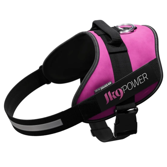 Julius K9 IDC Powerhám felirattal 3 sötét pink
