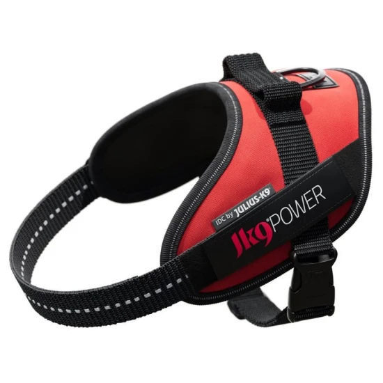 Julius K9 IDC Powerhám felirattal Mini piros