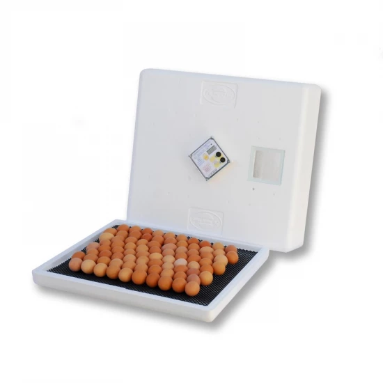 Keltetőgéphez Hu 140-hez Ház Felső rész