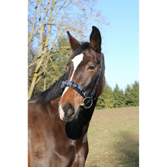 Trixie Macska WC Classic Peremmel, 37 × 15 × 47 cm, Sötétszürke/Fehér