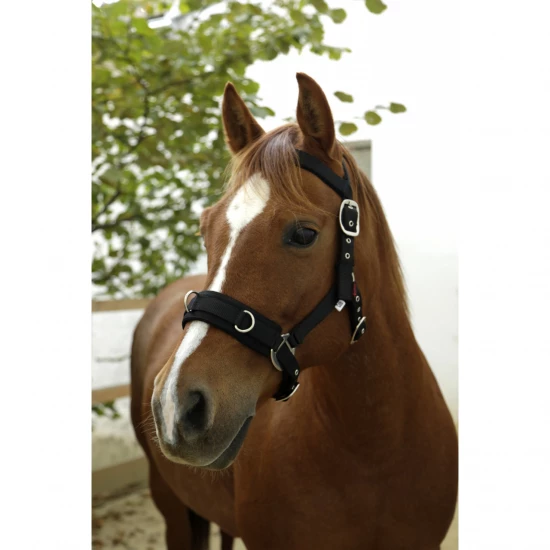 Trixie Macska WC Vico, 40 × 40 × 56 cm, Bordó/Fehér