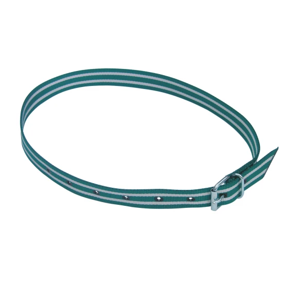 KERBL Nyakpánt jelölős 120 cm zöld/fehér